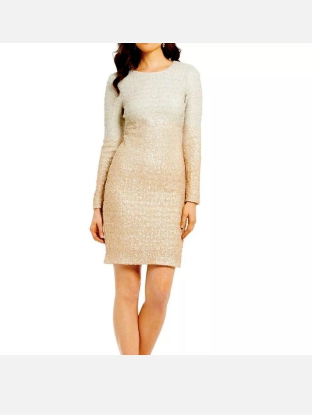 Nwt Belle Badgley Mischka Ombre Sequin Dress Size 10